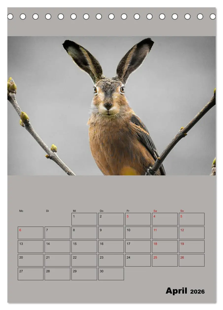 Bild: 9783516404975 | Seltsame Tiere - da stimmt doch was nicht... (Tischkalender 2026...