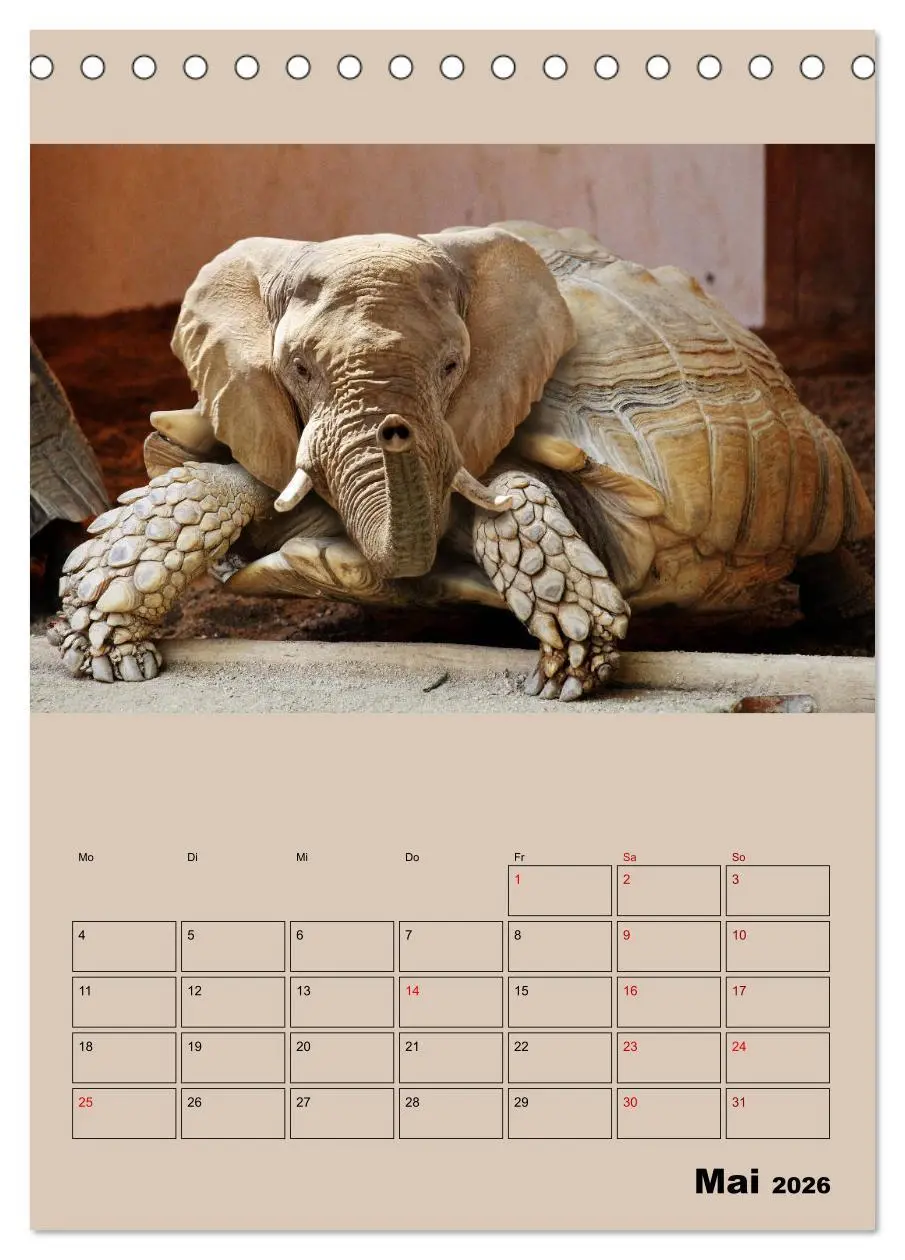 Bild: 9783516404975 | Seltsame Tiere - da stimmt doch was nicht... (Tischkalender 2026...