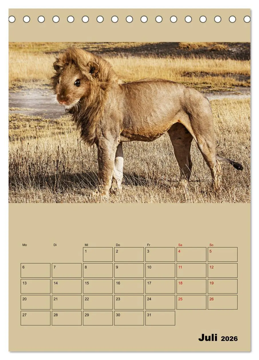 Bild: 9783516404975 | Seltsame Tiere - da stimmt doch was nicht... (Tischkalender 2026...