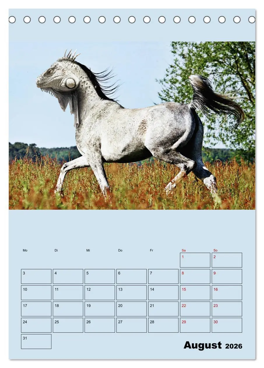 Bild: 9783516404975 | Seltsame Tiere - da stimmt doch was nicht... (Tischkalender 2026...