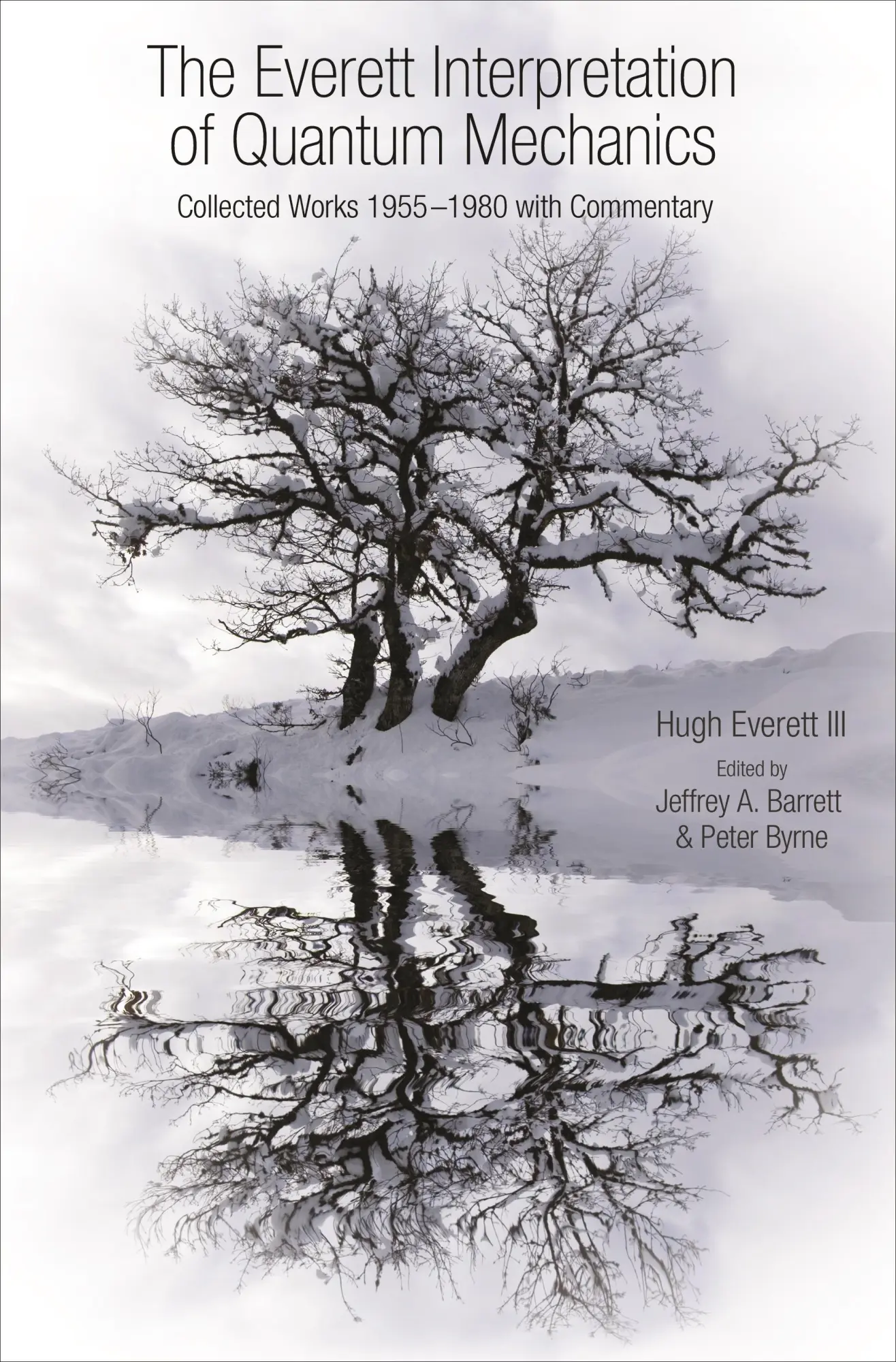Cover: 9780691145075 | The Everett Interpretation of Quantum Mechanics | Barrett (u. a.)