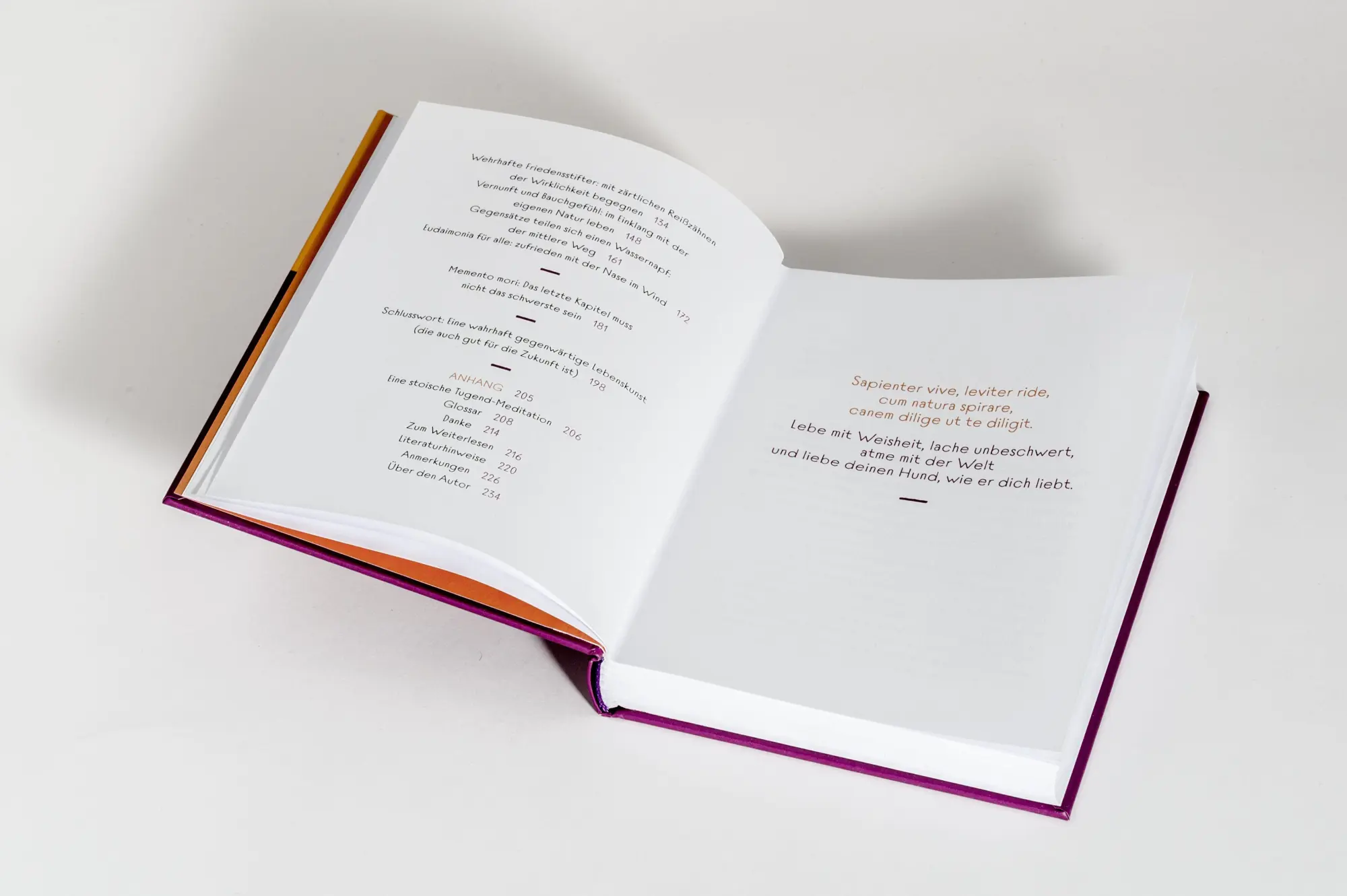 Bild: 9783424155075 | Die Kunst des Lebens auf acht Pfoten | Dirk Grosser | Buch | 232 S.