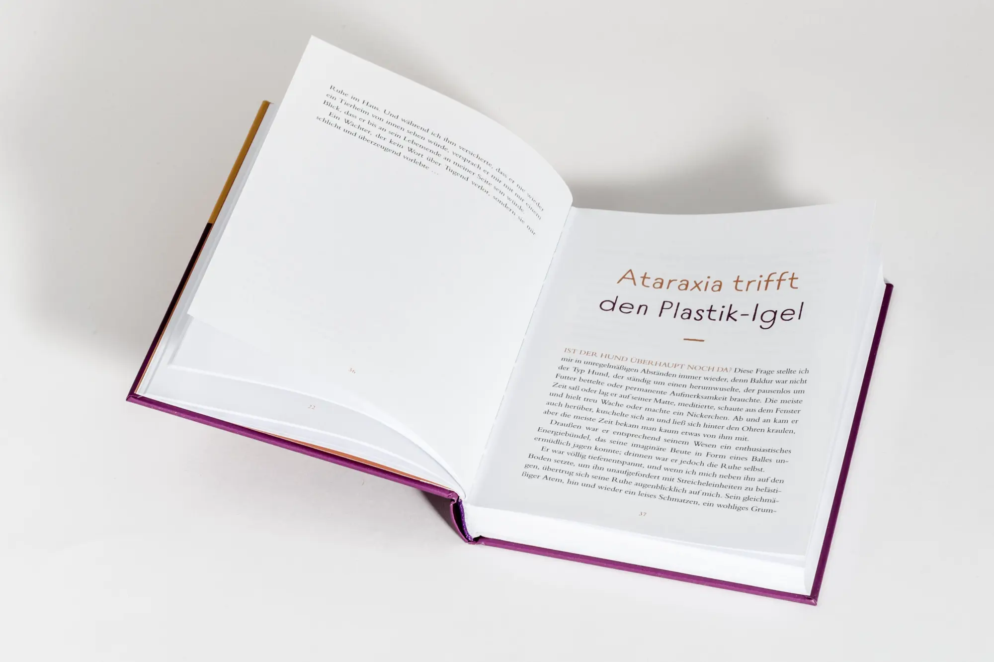 Bild: 9783424155075 | Die Kunst des Lebens auf acht Pfoten | Dirk Grosser | Buch | 232 S.