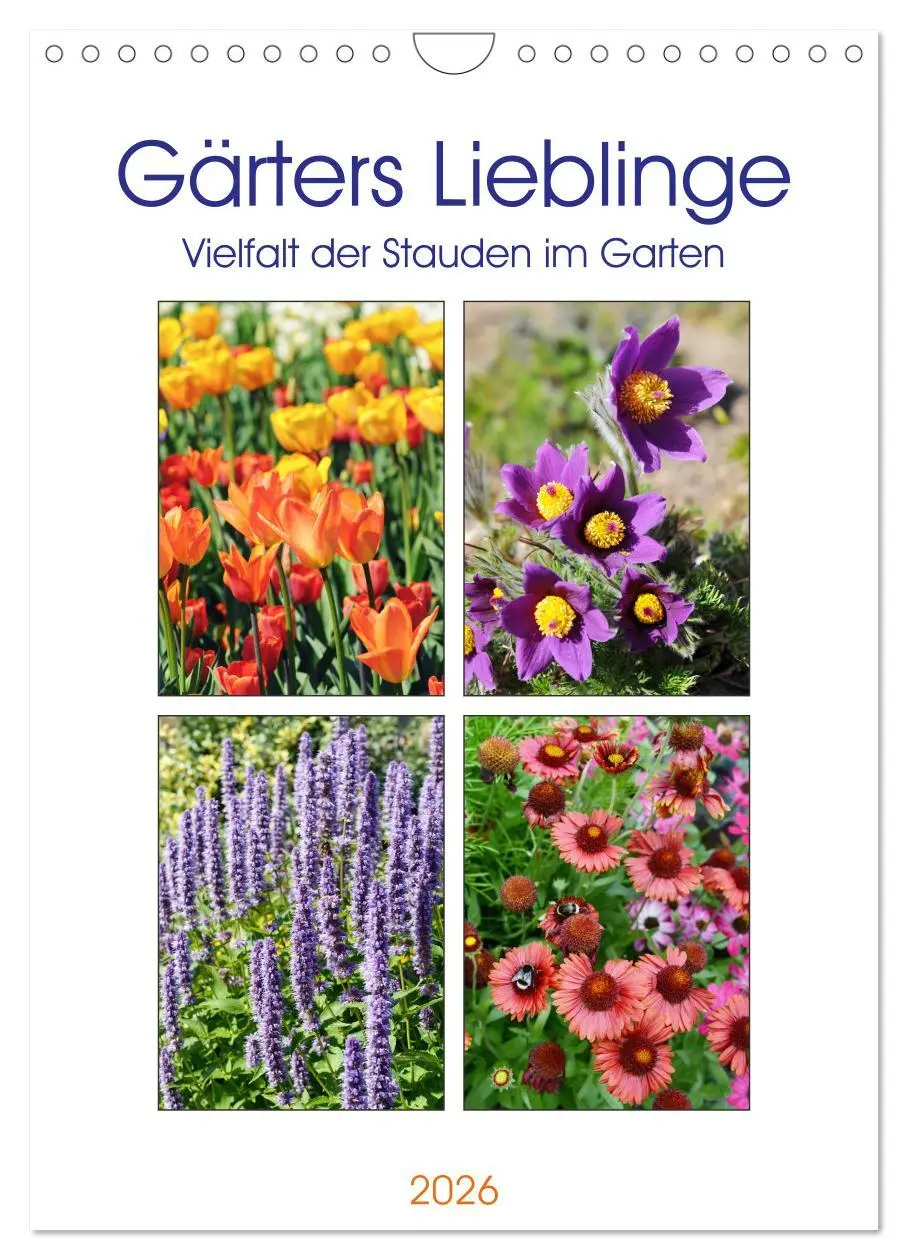 Cover: 9783516395075 | Gärtners Lieblinge - Vielfalt der Stauden im Garten (Wandkalender...