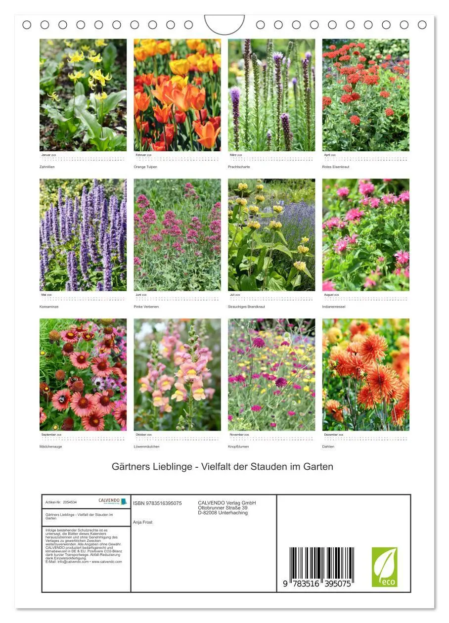 Bild: 9783516395075 | Gärtners Lieblinge - Vielfalt der Stauden im Garten (Wandkalender...