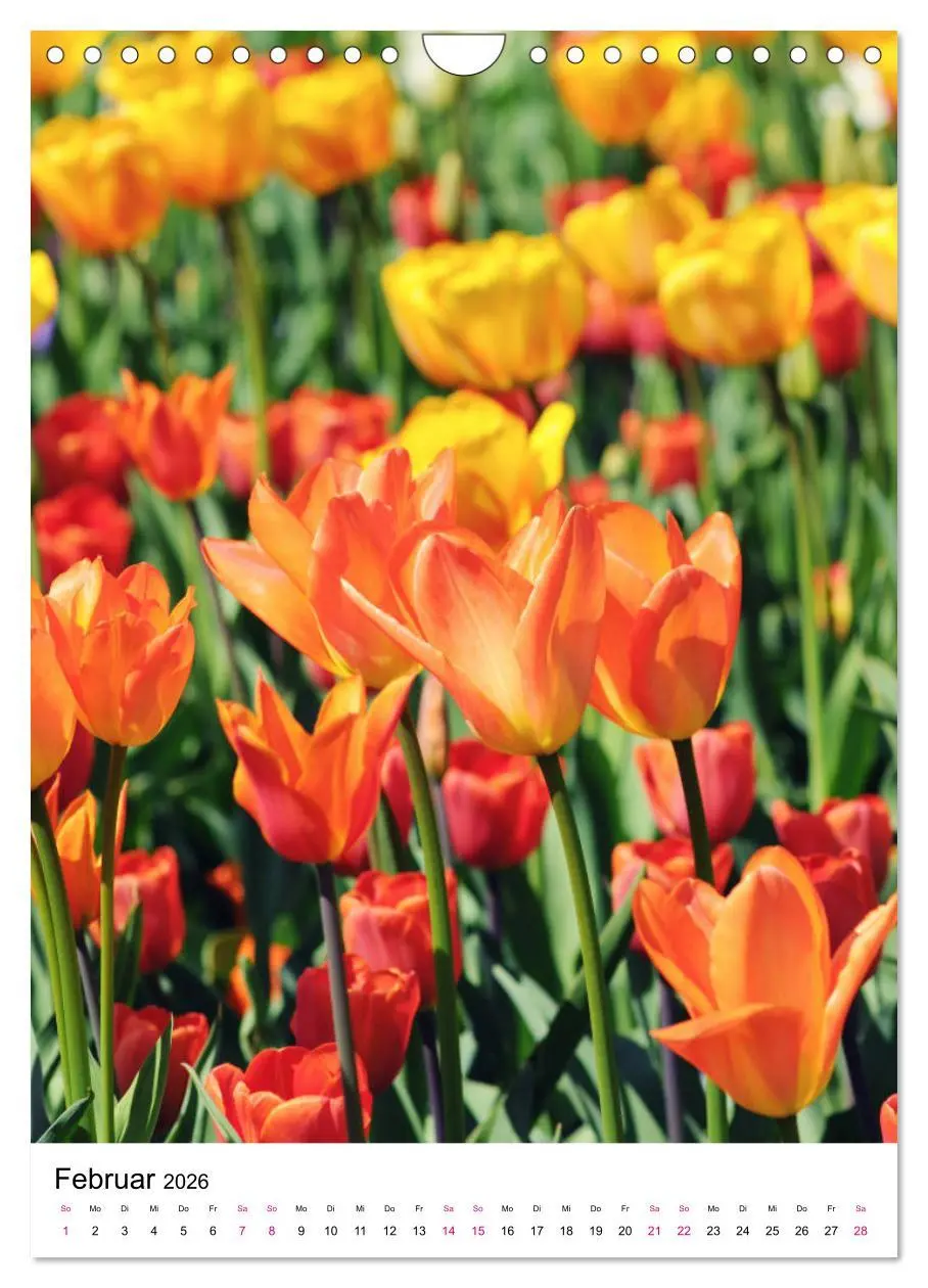 Bild: 9783516395075 | Gärtners Lieblinge - Vielfalt der Stauden im Garten (Wandkalender...