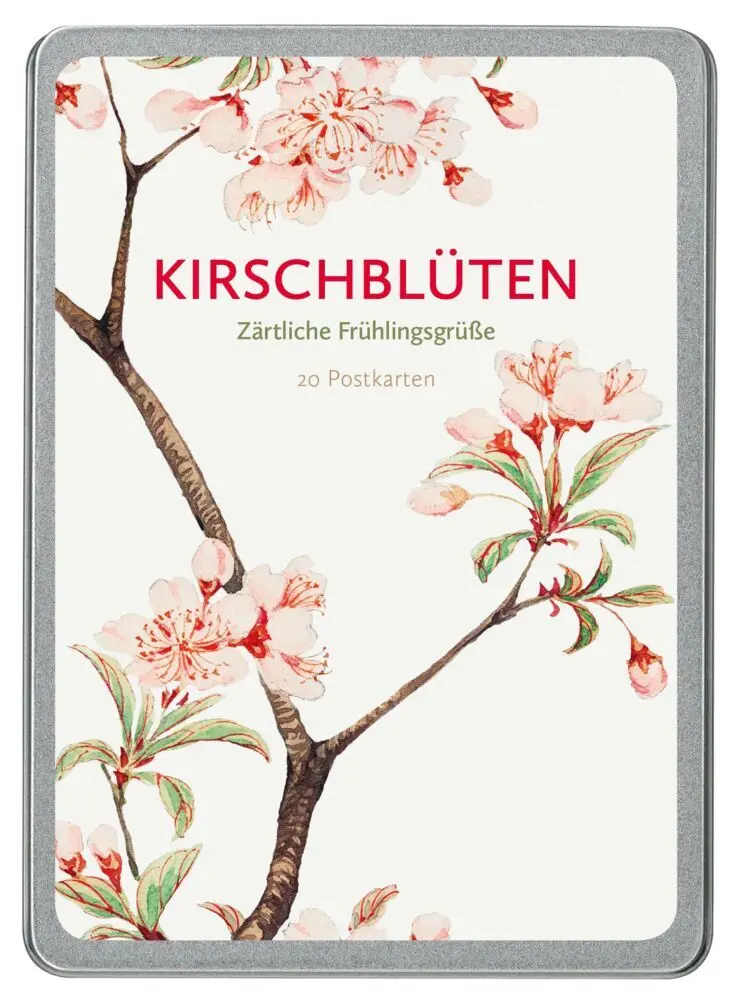 Kirschblüten Postkarten VE 20