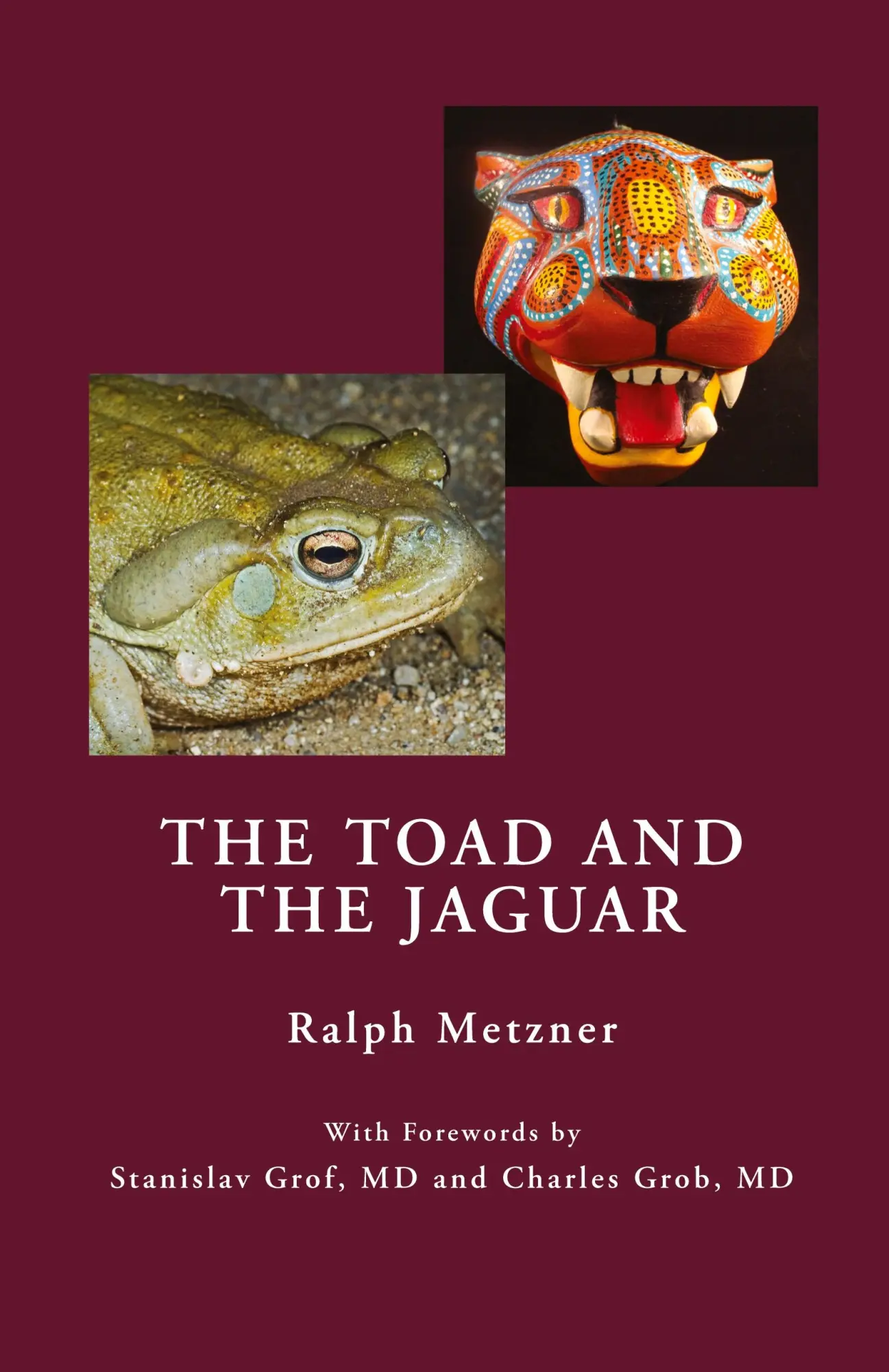 Cover: 9781954925175 | The Toad and the Jaguar | Ralph Metzner | Taschenbuch | Englisch