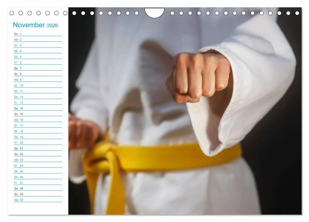 Bild: 9783457985175 | Kampfsport (Wandkalender 2026 DIN A4 quer), CALVENDO Monatskalender