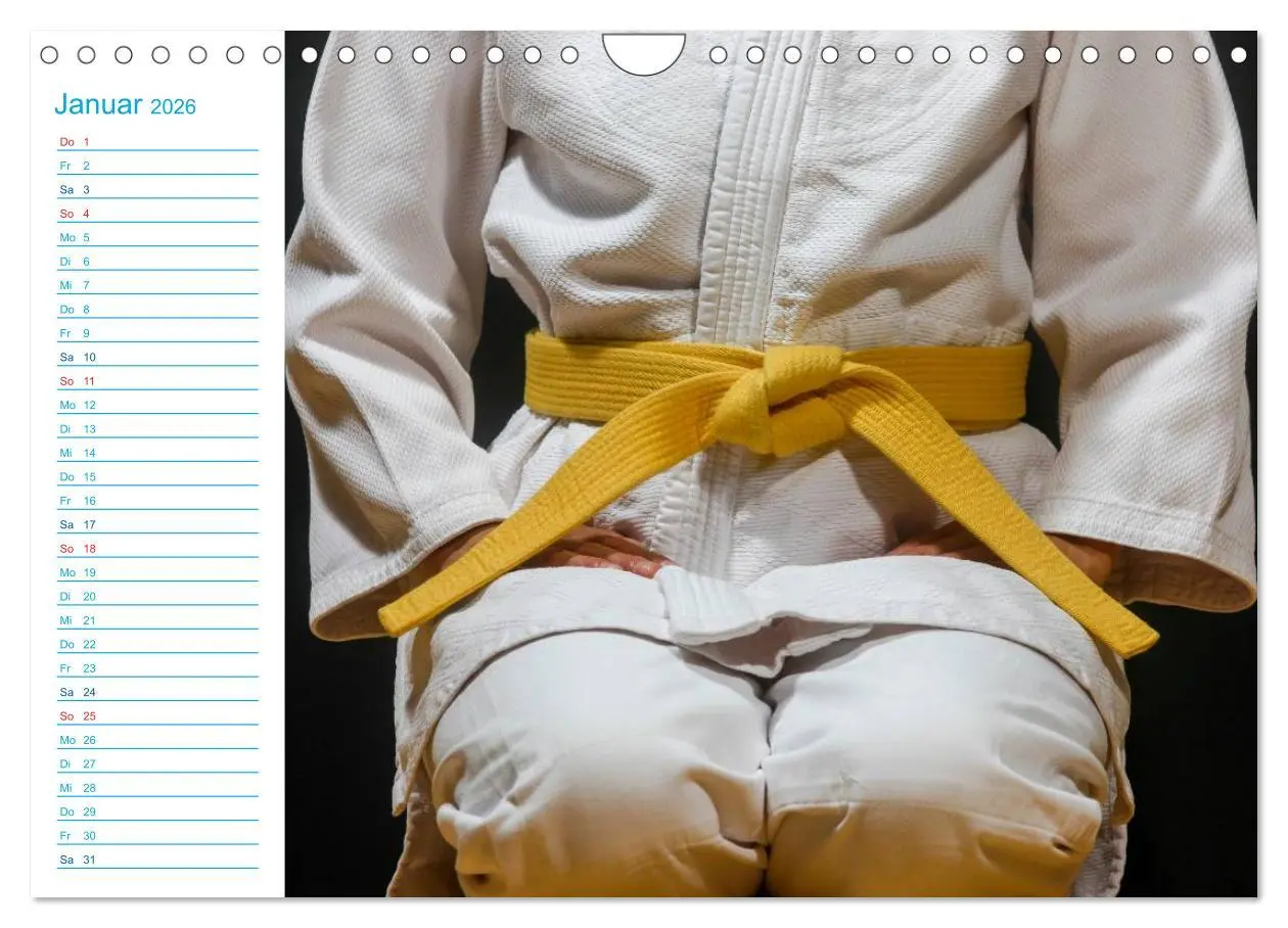 Bild: 9783457985175 | Kampfsport (Wandkalender 2026 DIN A4 quer), CALVENDO Monatskalender