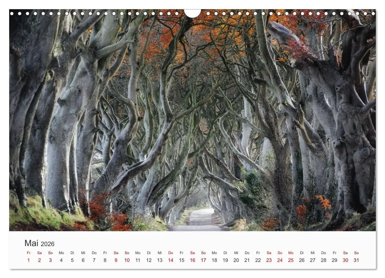 Bild: 9783457805275 | Naturschauspiel Irland (Wandkalender 2026 DIN A3 quer), CALVENDO...