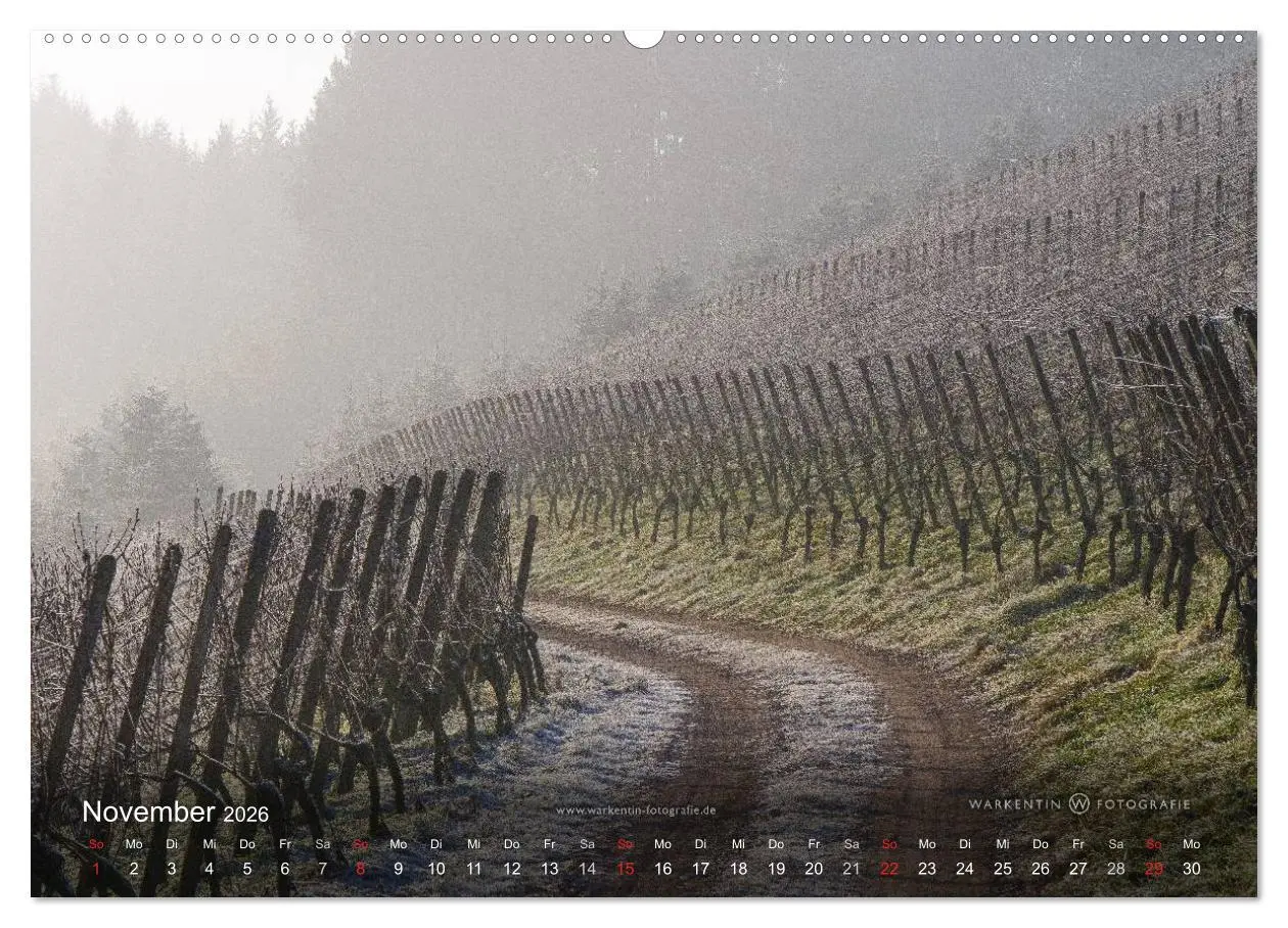 Bild: 9783516065275 | Romantisches Renchtal (Wandkalender 2026 DIN A2 quer), CALVENDO...