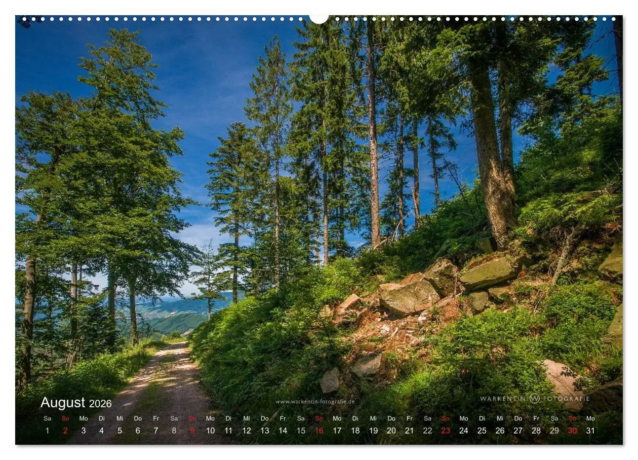 Bild: 9783516065275 | Romantisches Renchtal (Wandkalender 2026 DIN A2 quer), CALVENDO...
