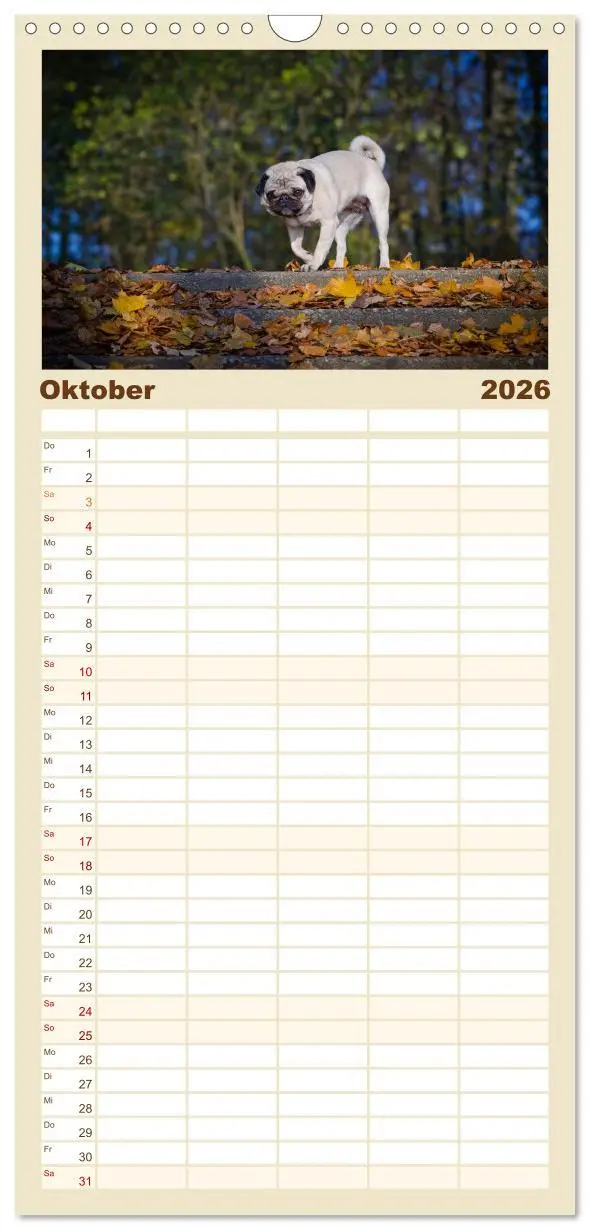Bild: 9783516515275 | Familienplaner 2026 - Mops mit 5 Spalten (Wandkalender, 21 x 45 cm)...