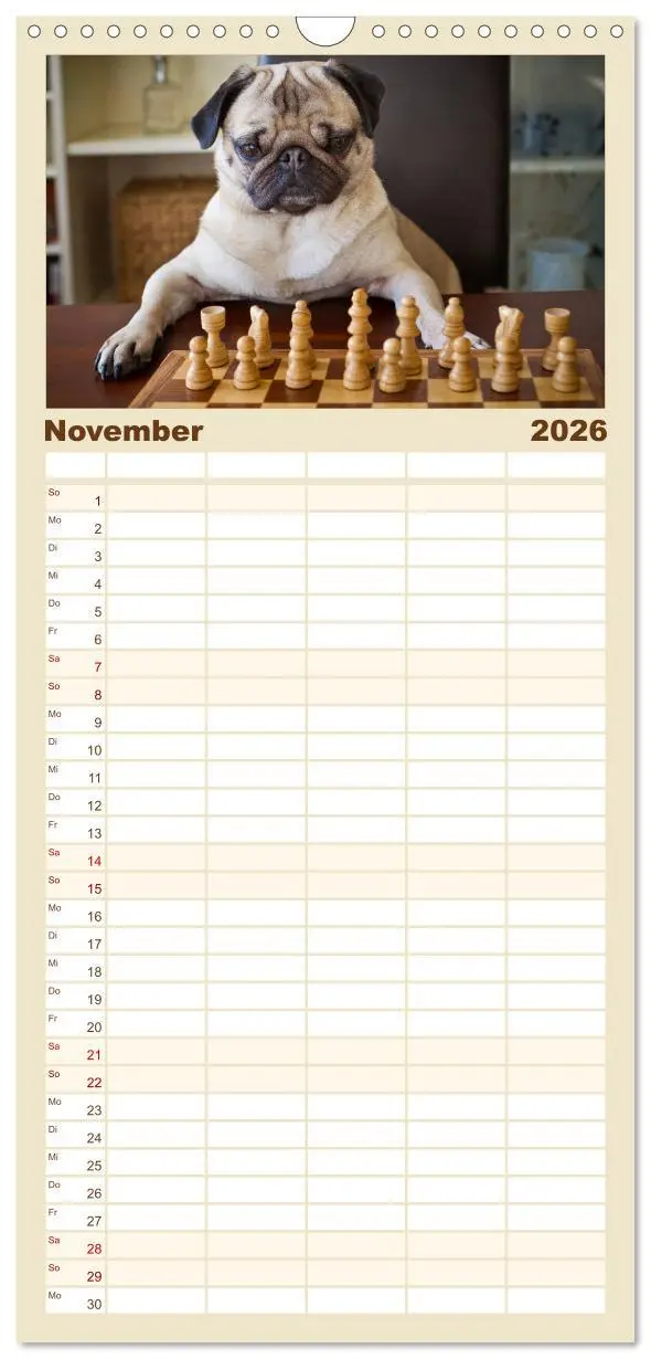 Bild: 9783516515275 | Familienplaner 2026 - Mops mit 5 Spalten (Wandkalender, 21 x 45 cm)...