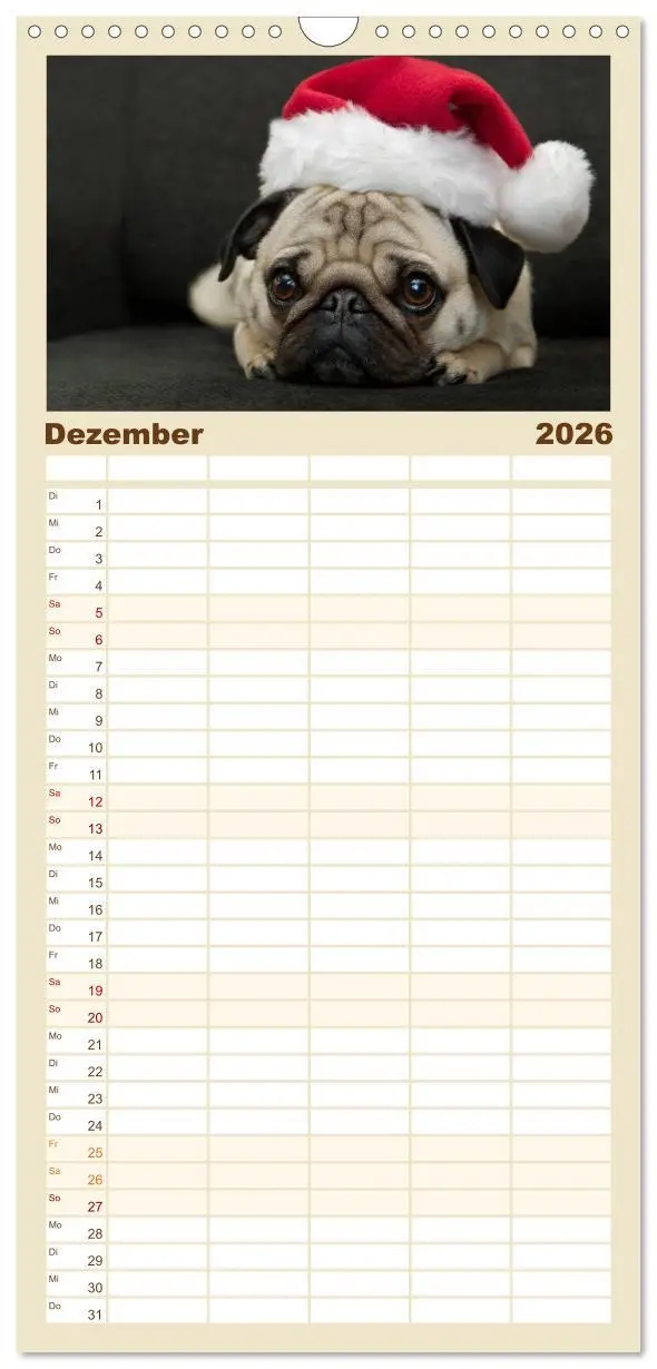 Bild: 9783516515275 | Familienplaner 2026 - Mops mit 5 Spalten (Wandkalender, 21 x 45 cm)...