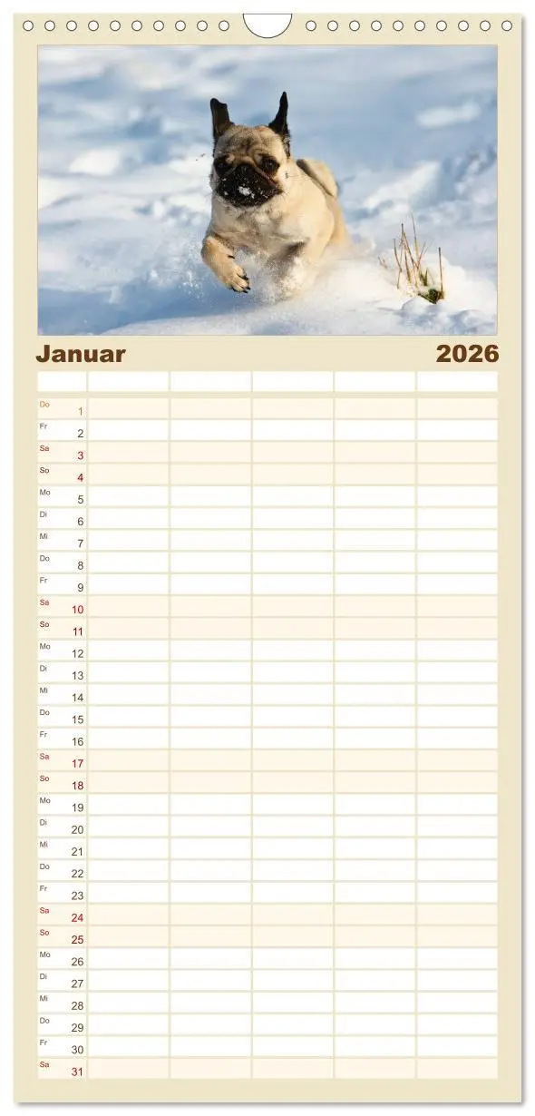 Bild: 9783516515275 | Familienplaner 2026 - Mops mit 5 Spalten (Wandkalender, 21 x 45 cm)...