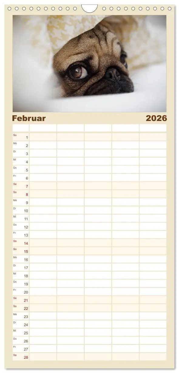 Bild: 9783516515275 | Familienplaner 2026 - Mops mit 5 Spalten (Wandkalender, 21 x 45 cm)...
