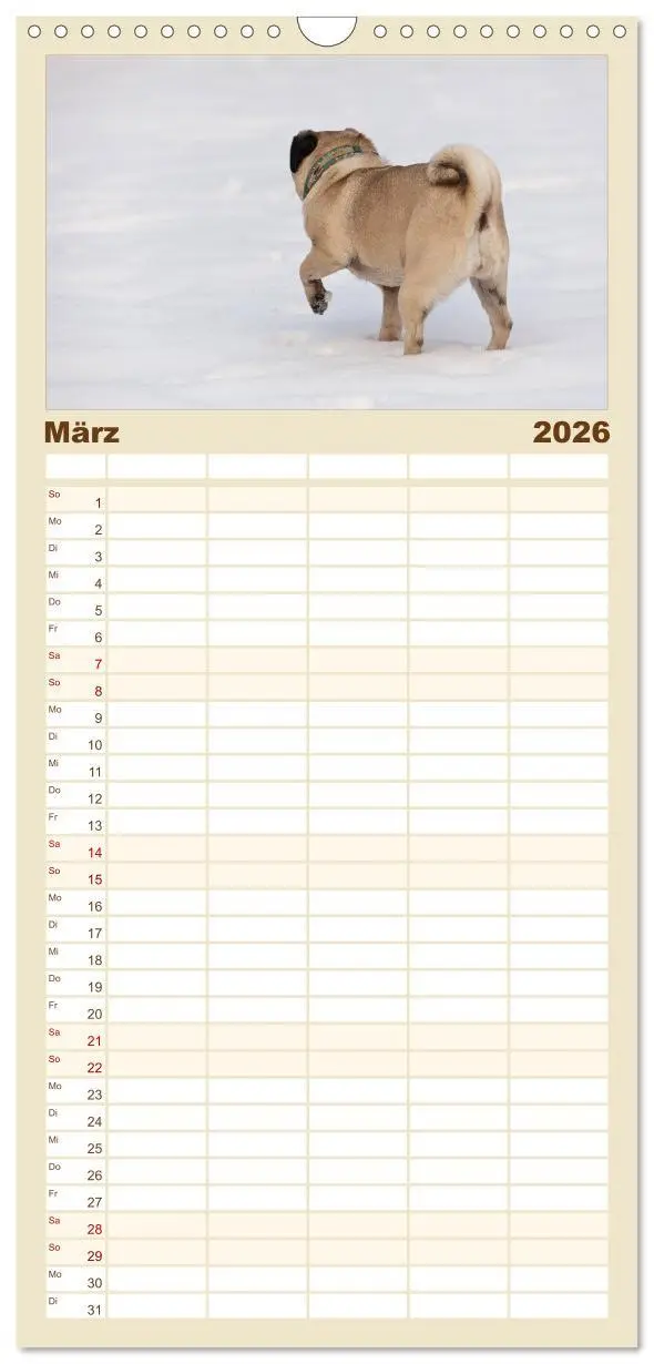 Bild: 9783516515275 | Familienplaner 2026 - Mops mit 5 Spalten (Wandkalender, 21 x 45 cm)...