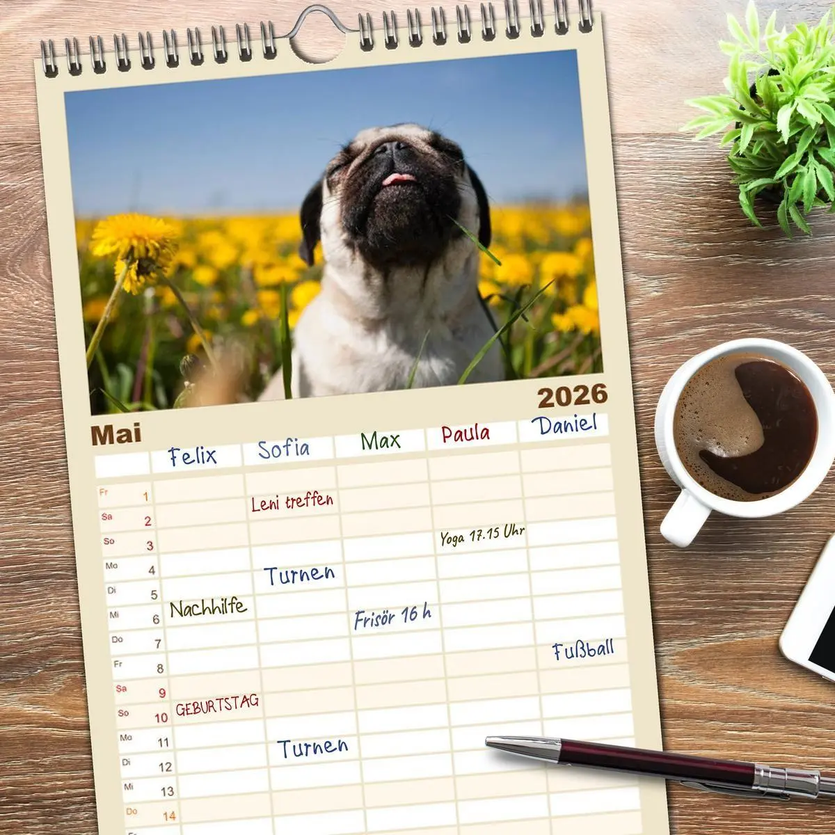 Bild: 9783516515275 | Familienplaner 2026 - Mops mit 5 Spalten (Wandkalender, 21 x 45 cm)...