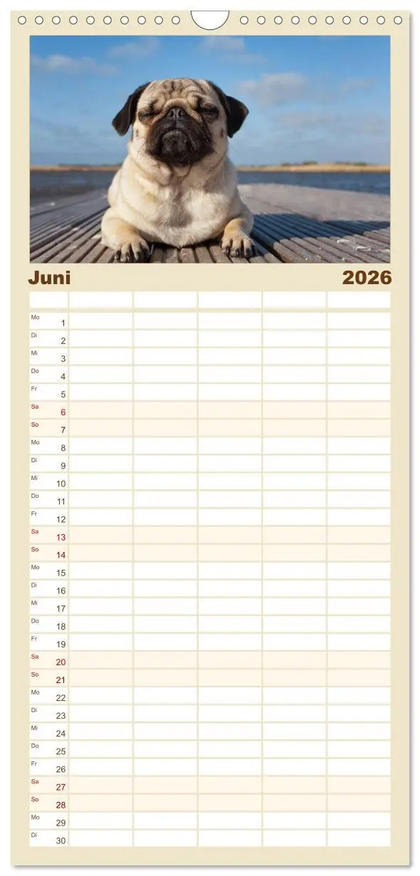 Bild: 9783516515275 | Familienplaner 2026 - Mops mit 5 Spalten (Wandkalender, 21 x 45 cm)...