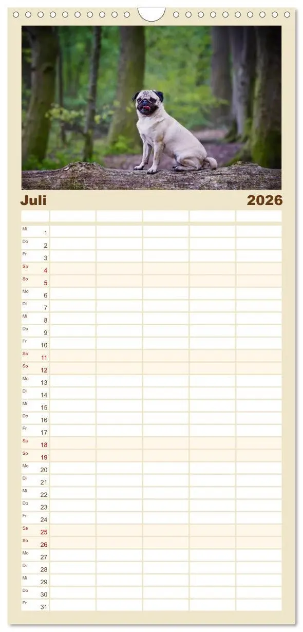Bild: 9783516515275 | Familienplaner 2026 - Mops mit 5 Spalten (Wandkalender, 21 x 45 cm)...