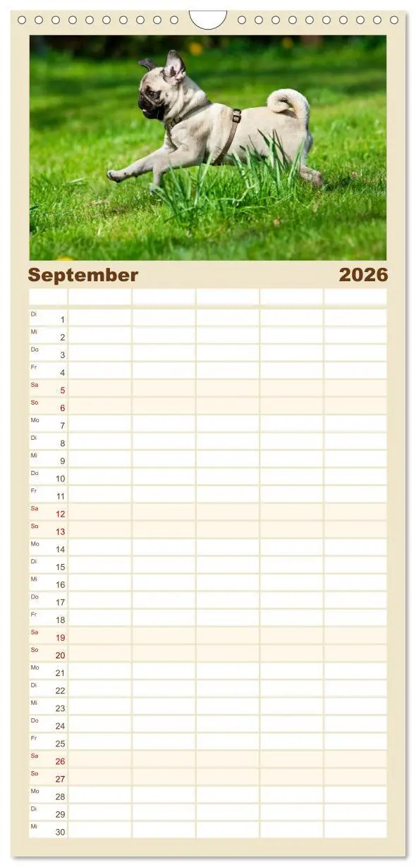 Bild: 9783516515275 | Familienplaner 2026 - Mops mit 5 Spalten (Wandkalender, 21 x 45 cm)...