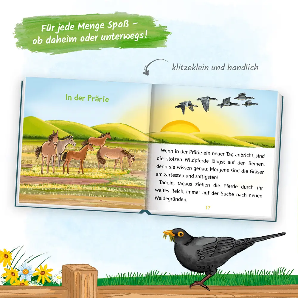 Bild: 9783965525375 | Trötsch Kinderbuch Mein klitzekleines Kinderbuch Pferdegeschichten