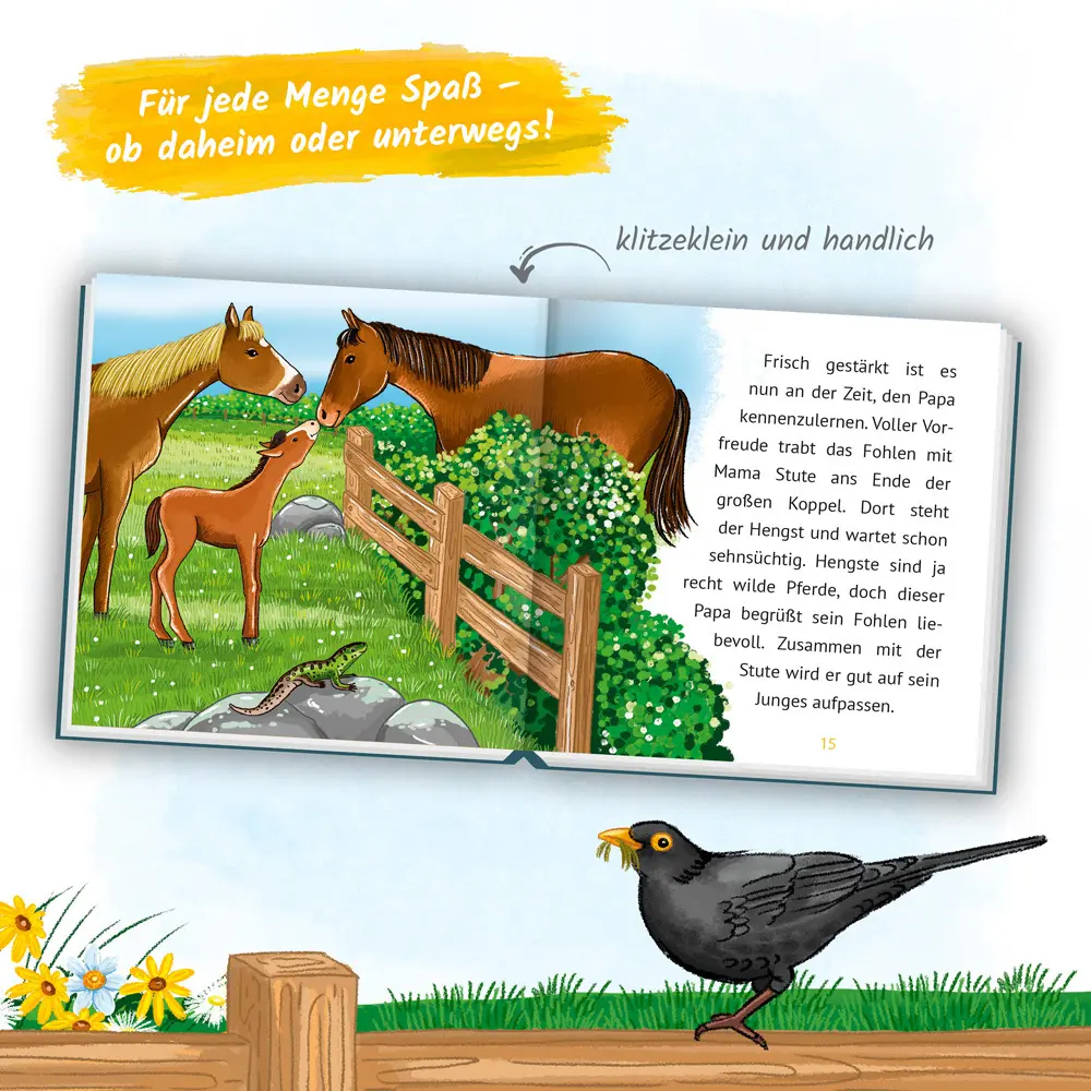 Bild: 9783965525375 | Trötsch Kinderbuch Mein klitzekleines Kinderbuch Pferdegeschichten