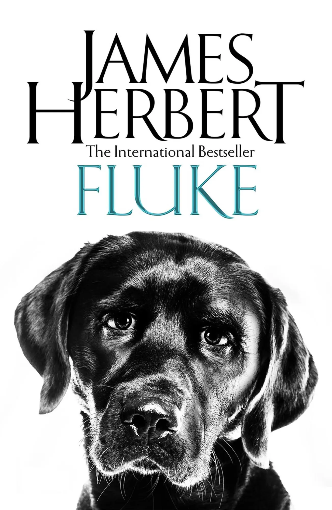 Cover: 9781509865475 | Fluke | James Herbert | Taschenbuch | Kartoniert / Broschiert | 2018