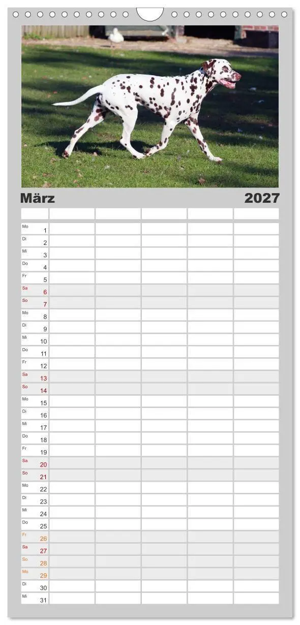 Bild: 9783594335475 | Familienplaner 2027 - Gefleckte Freunde - Hunderasse Dalmatiner mit...