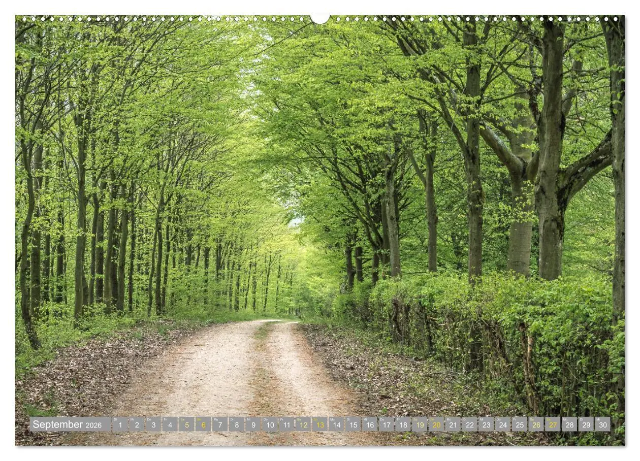 Bild: 9783457565575 | Wanderwege in Europa (Wandkalender 2026 DIN A2 quer), CALVENDO...