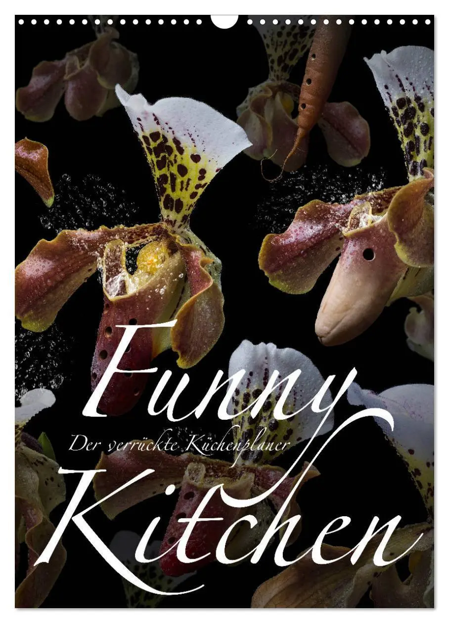 Cover: 9783516415575 | Funny Kitchen - Der verrückte Küchenplaner (Wandkalender 2026 DIN...