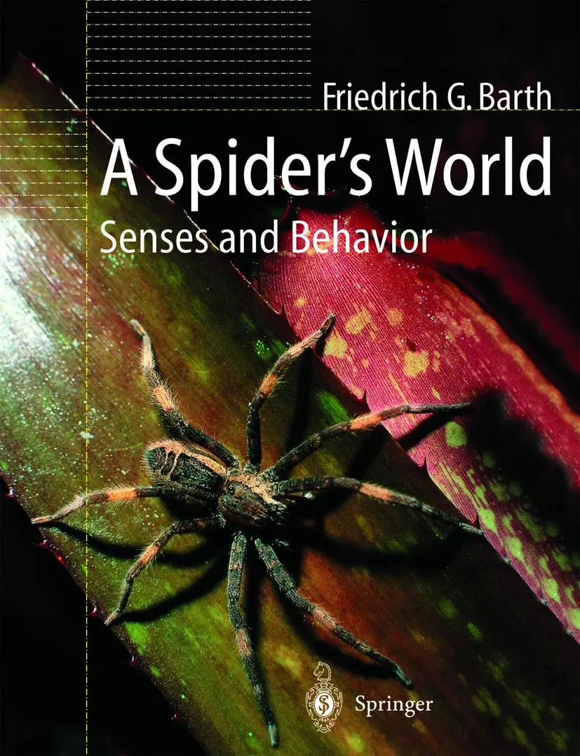 Cover: 9783642075575 | A Spider's World | Senses and Behavior | Friedrich G. Barth | Buch
