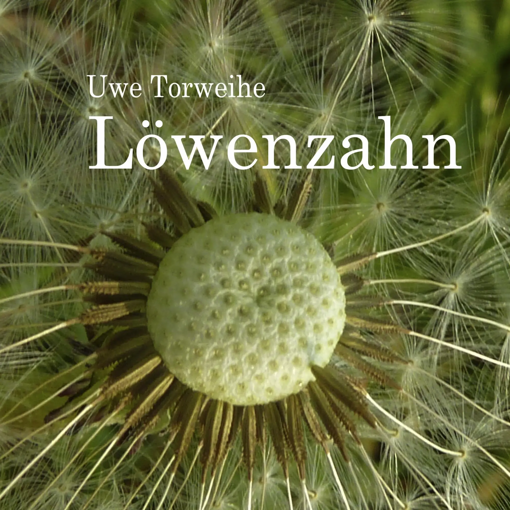 Cover: 9783842365575 | Löwenzahn | Uwe Torweihe | Taschenbuch | 24 S. | Deutsch | 2011