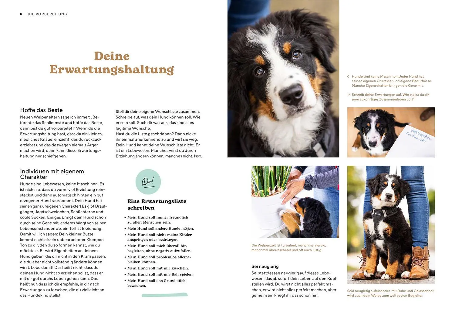 Bild: 9783440175675 | Welpenschule | Sonja Meiburg | Taschenbuch | Mein Tier | 112 S. | 2023