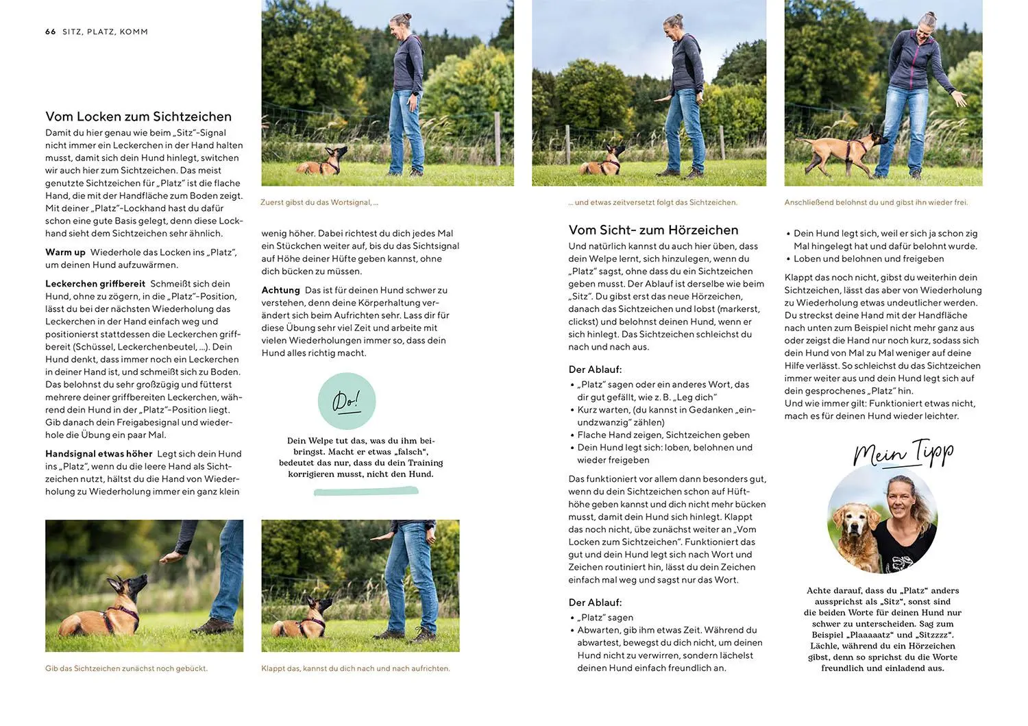 Bild: 9783440175675 | Welpenschule | Sonja Meiburg | Taschenbuch | Mein Tier | 112 S. | 2023