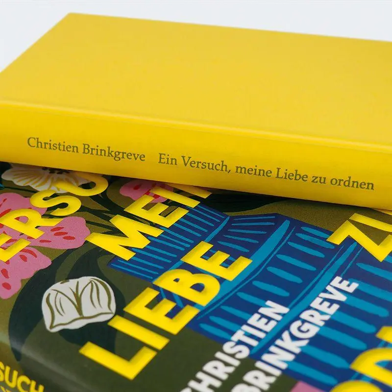 Bild: 9783446285675 | Ein Versuch, meine Liebe zu ordnen | Christien Brinkgreve | Buch