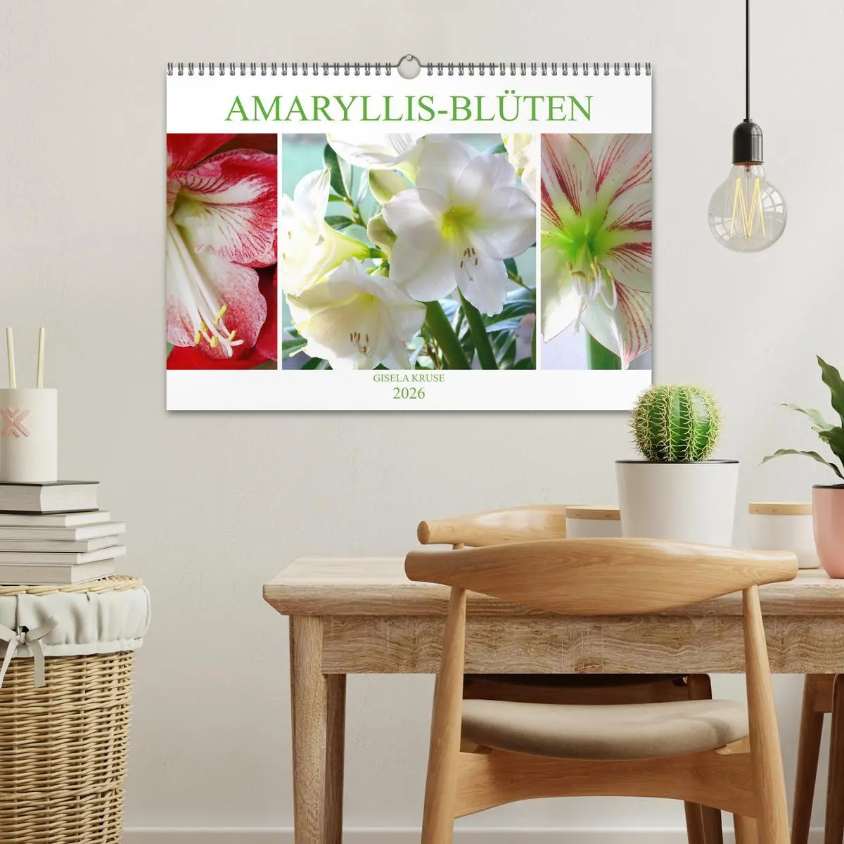 Bild: 9783457865675 | Amaryllis-Blüten (Wandkalender 2026 DIN A3 quer), CALVENDO...
