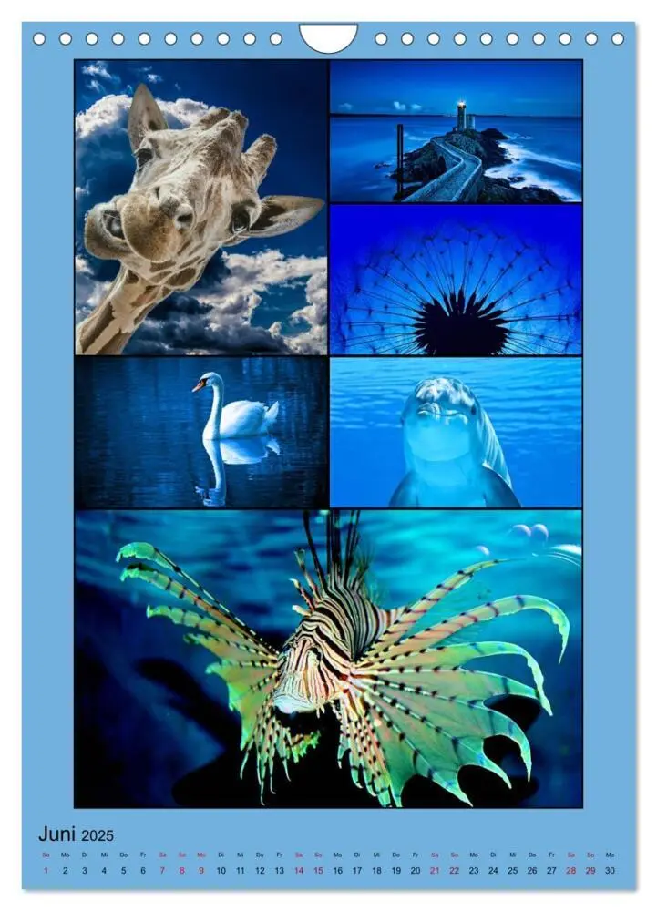 Bild: 9783435905775 | Farbsymphonien der Natur (Wandkalender 2025 DIN A4 hoch), CALVENDO...