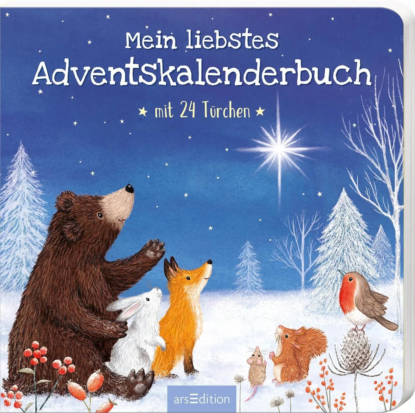 Cover: 9783845865775 | Mein liebstes Adventskalenderbuch | Mit 24 Türchen | Sharon Harmer