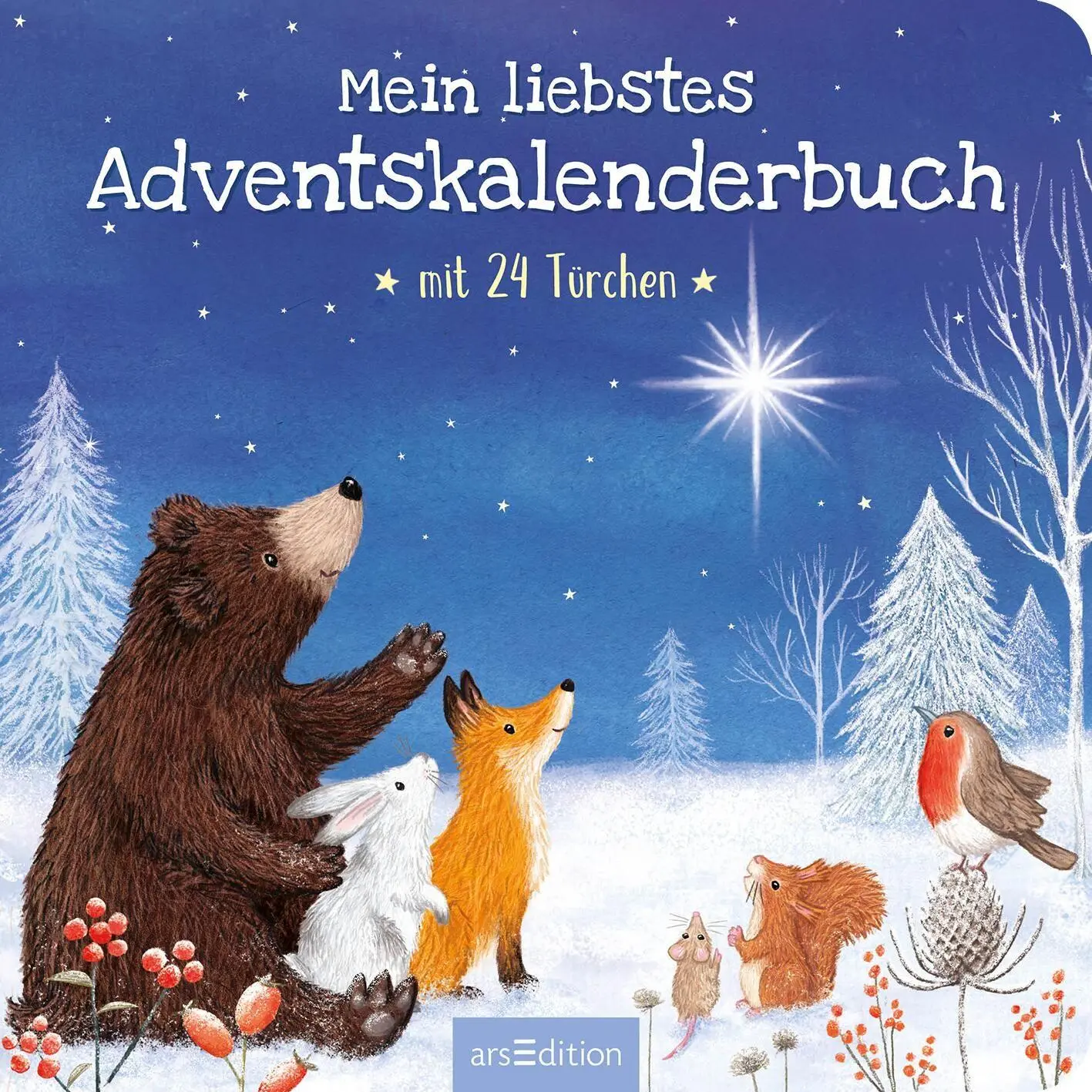 Bild: 9783845865775 | Mein liebstes Adventskalenderbuch | Mit 24 Türchen | Sharon Harmer