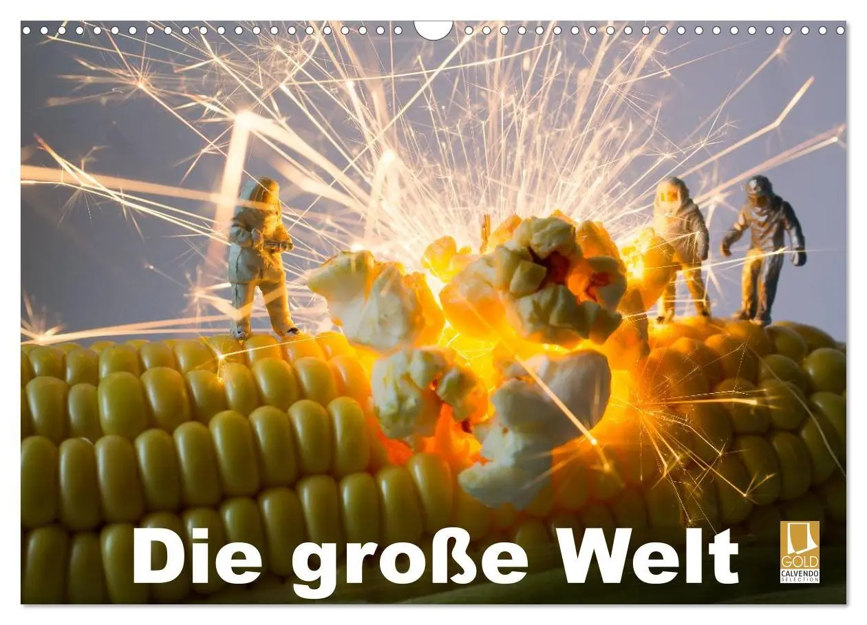 Cover: 9783516175875 | Die große Welt (Wandkalender 2026 DIN A3 quer), CALVENDO...