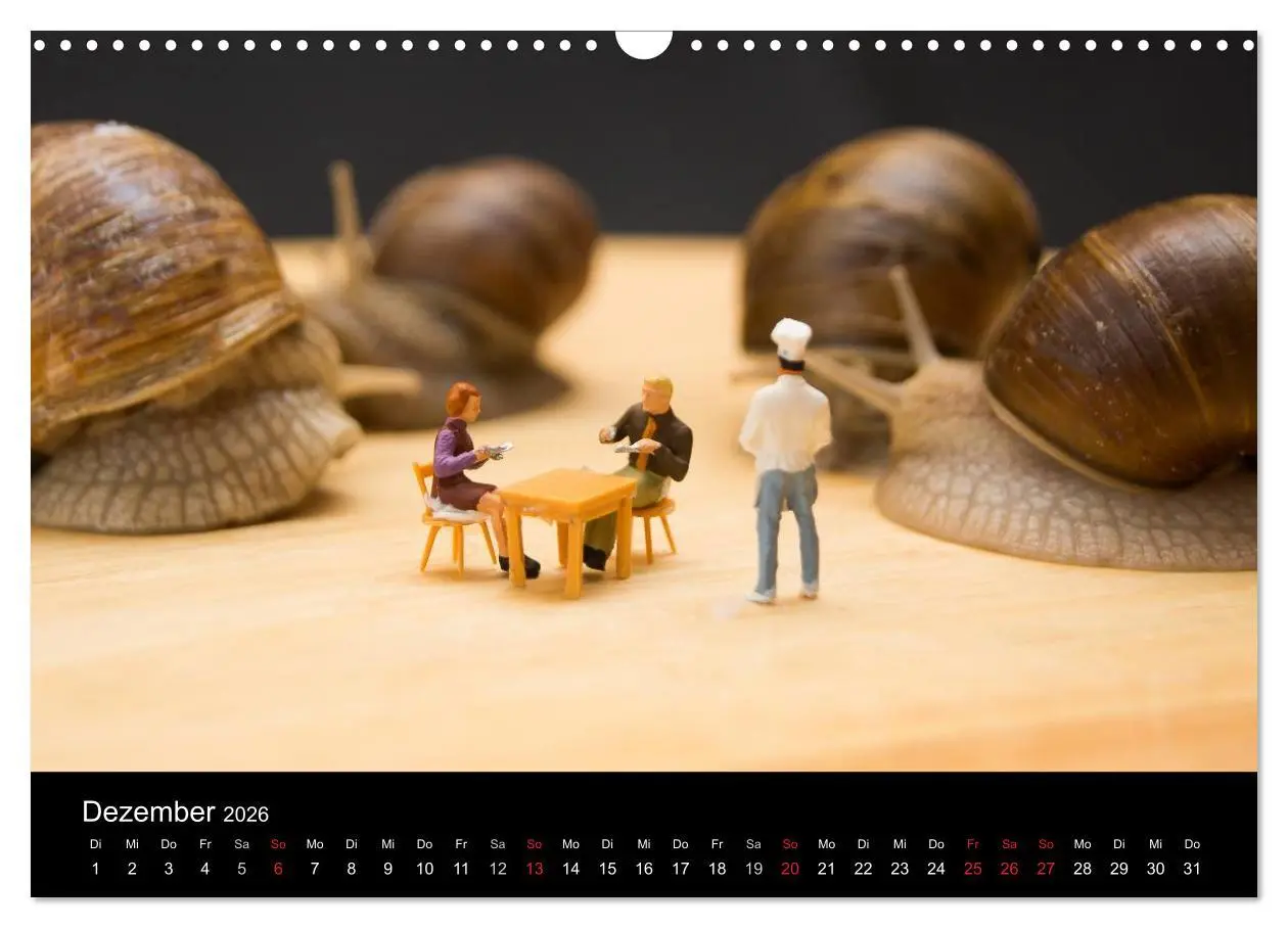 Bild: 9783516175875 | Die große Welt (Wandkalender 2026 DIN A3 quer), CALVENDO...