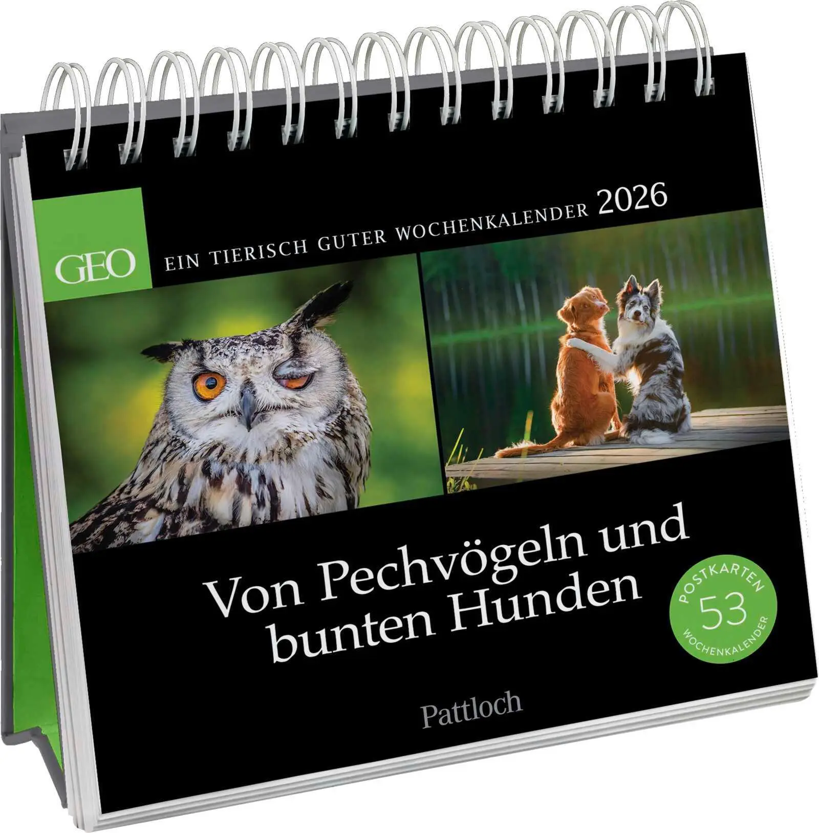 Cover: 4260308345975 | Postkartenkalender 2026: Von Pechvögeln und bunten Hunden | Geo | 2026