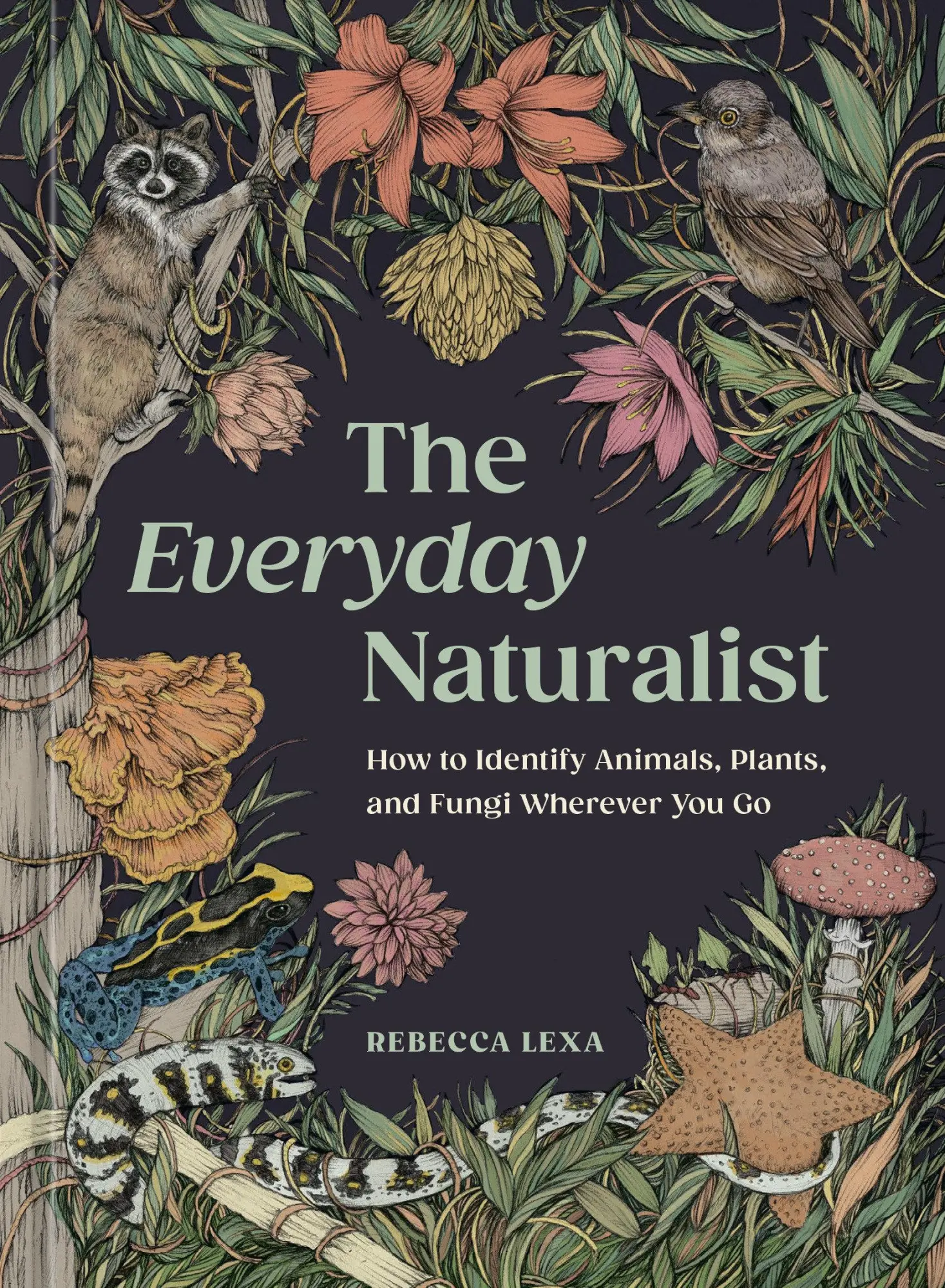 Clarkson Potter/Ten Speed The Everyday Naturalist