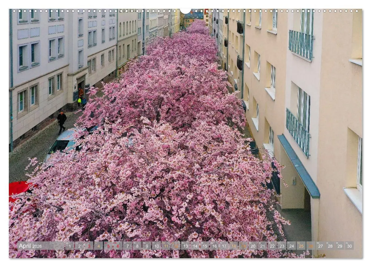 Bild: 9783457525975 | HALLE SAALE GEDROHNT 2026 (Wandkalender 2026 DIN A2 quer), CALVENDO...