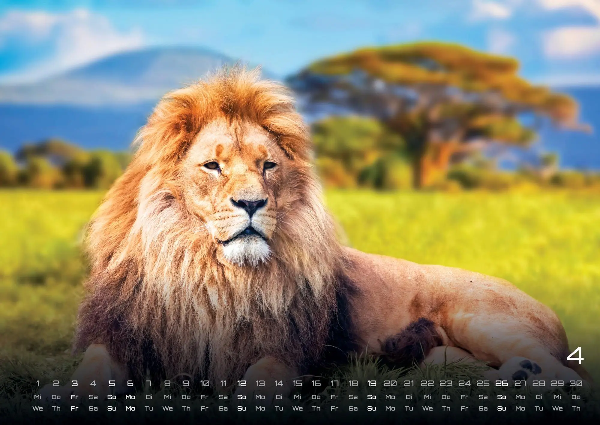 Bild: 9783986735975 | Afrikas Tierwelt - Der Tierkalender - 2026 - Kalender DIN A2 | de