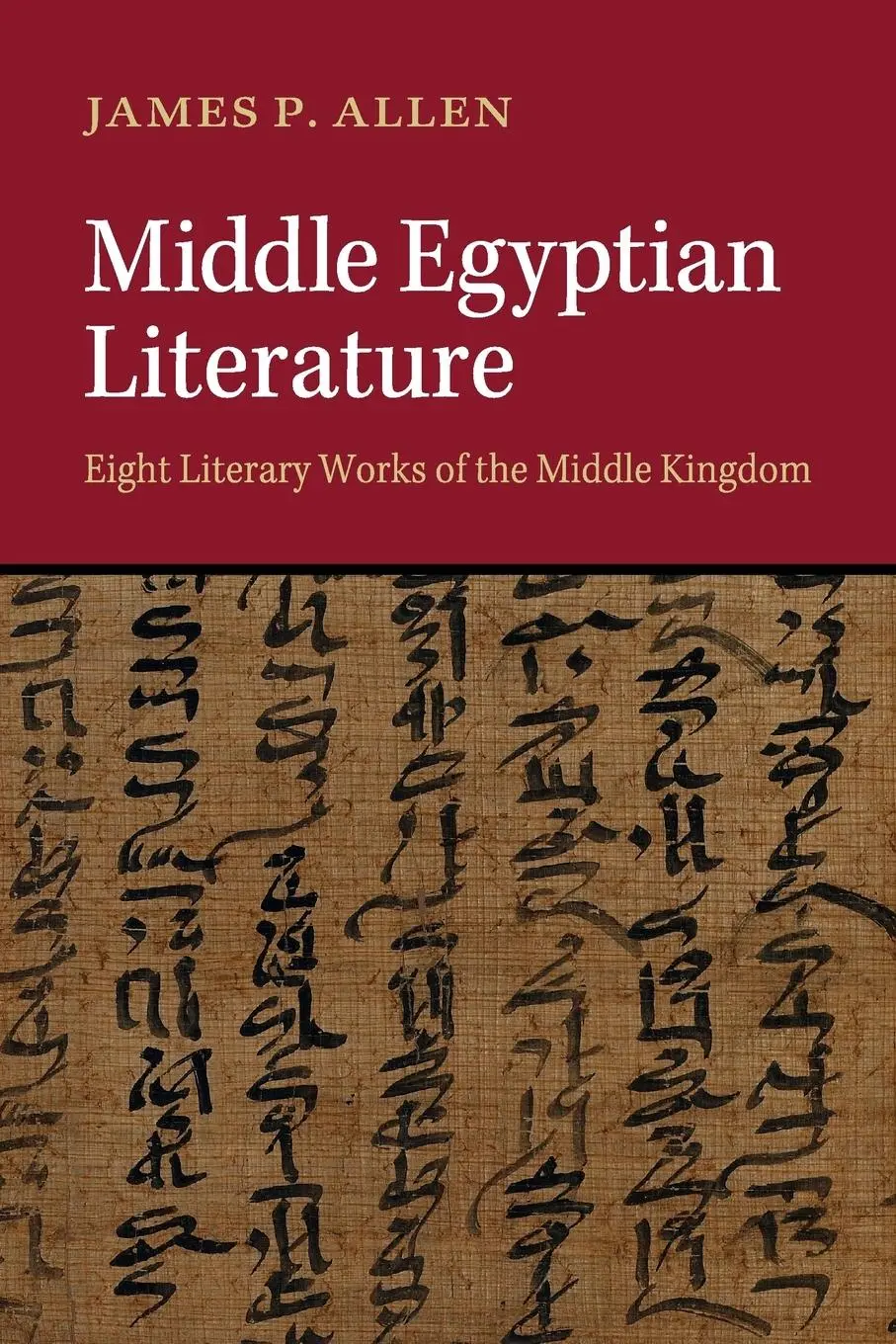 Cover: 9781107456075 | Middle Egyptian Literature | James P. Allen | Taschenbuch | Englisch