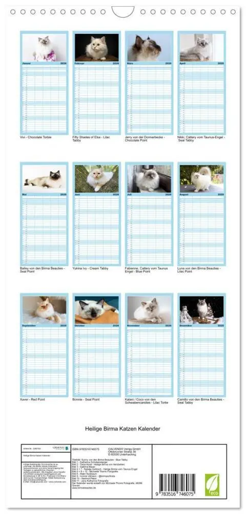 Bild: 9783516746075 | Familienplaner 2026 - Heilige Birma Katzen Kalender mit 5 Spalten...
